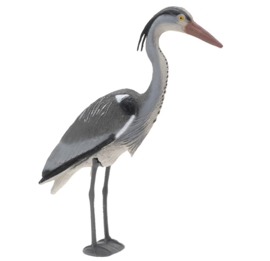 Wat te doen als ik een reiger bij de vijver heb? Do it yourselfers