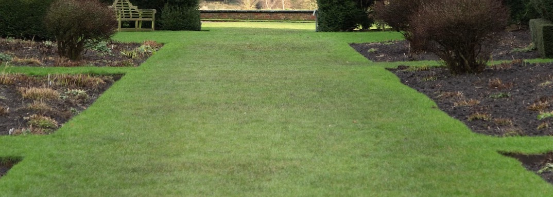 Met deze middelen bemest je je gazon