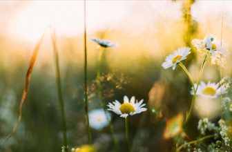 lente voorbereiding