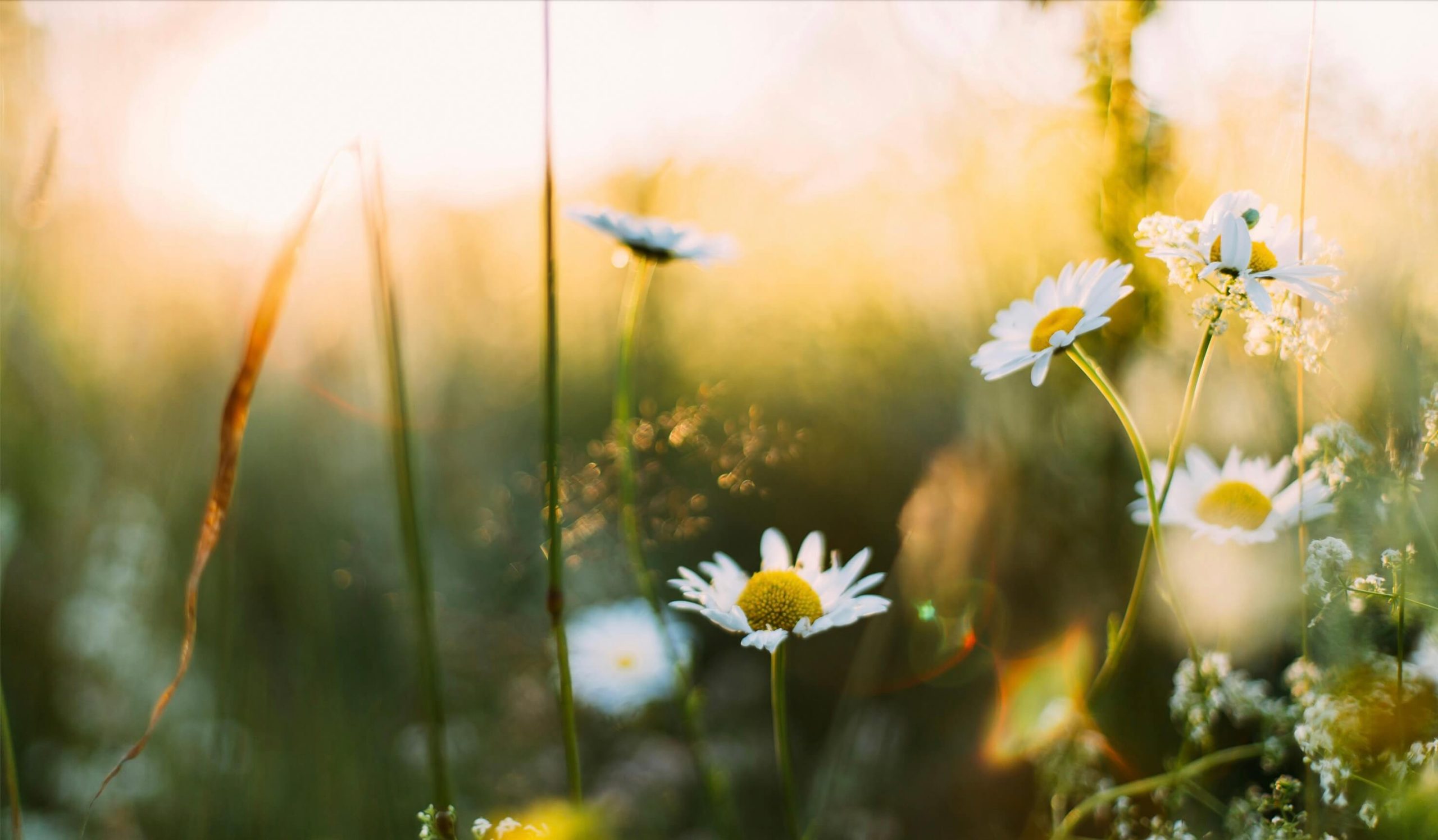 lente voorbereiding