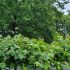 Alles over tuinberegening