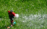Alles over tuinberegening