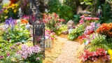 5 tips als je elektriciteit gaat aanleggen in de tuin